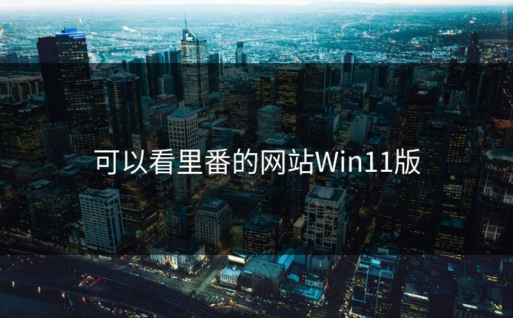 可以看里番的网站Win11版
