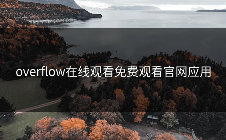 overflow在线观看免费观看官网应用
