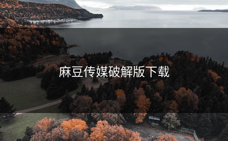麻豆传媒破解版下载