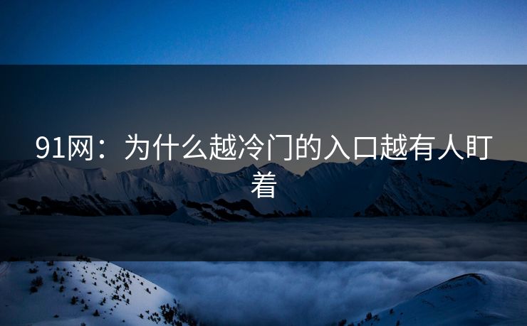 91网：为什么越冷门的入口越有人盯着